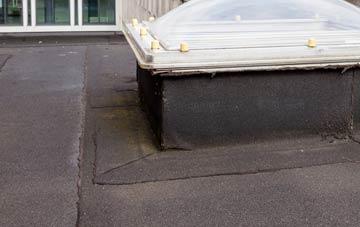 disadvantages of Timsgearraidh flat roofs